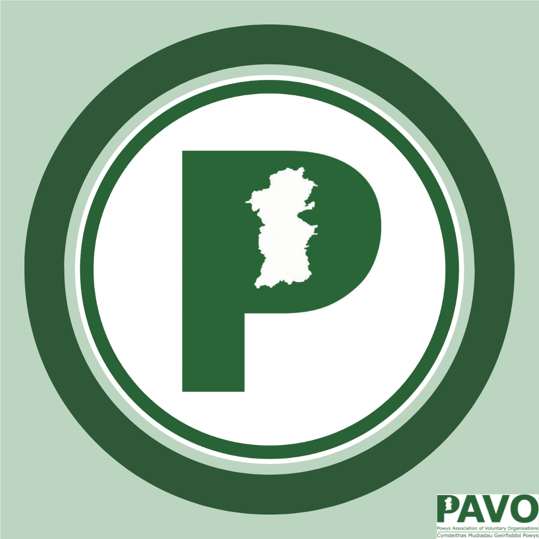 pavo circle